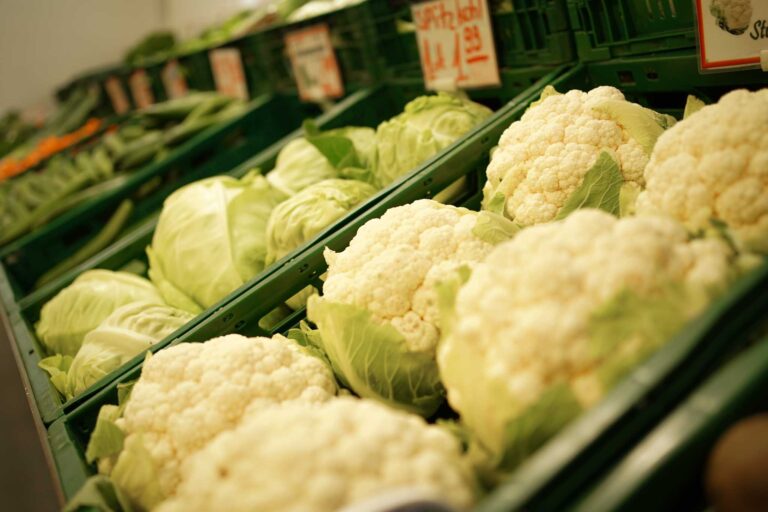 Blumenkohl und Spitzkohl in grünen Boxen der Gemüseauslage